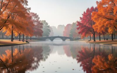 De la chambre au monde entier : comment My Blog reflète ma vie et mes passions